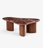 Ollo Marble Top Coffee Table In Ipiano Finish