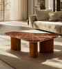 Ollo Marble Top Coffee Table In Ipiano Finish