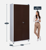 Olymipia Metal 2 Door Wardrobe in Brown & White Finish