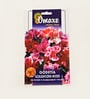 Omaxe Godetia Azaleaflora Mixed Seeds