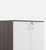 Omega File Cabinet  In Dark Oak & Light Oak Finish