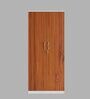 Onex 2 Door Wardrobe Frosty White & Natural Teak Finish