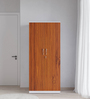 Onex 2 Door Wardrobe Frosty White & Natural Teak Finish