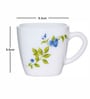 Opal 12pcs Tea/Coffee Cup Set