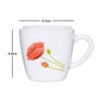 Opal 12pcs Tea/Coffee Cup Set