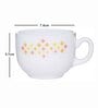Opal 12pcs Tea/Coffee Cup Set