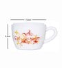 Opal 12pcs Tea/Coffee Cup Set
