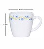 Opal 12pcs Tea/Coffee Cup Set