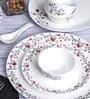 Opal 35pcs Dinner Set of 6pcs Dinner Plate, 6pcs Quarter Plate, 6pcs Veg. Bowl, 6pcs Soup Bowl, 6pcs Spoon, 2+2pcs Casserole with Lid, 1pc Oval Platter.