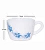 Opal 6pcs Tea/Coffee Cup Set
