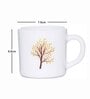 Opal 6pcs Tea/Coffee Cup Set