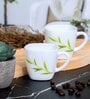Opal 6pcs Tea/Coffee Cup Set
