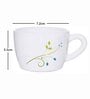 Opal 6pcs Tea/Coffee Cup Set