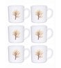 Opal 6pcs Tea/Coffee Cup Set