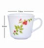 Opal Glass 12pcs Tea/Coffee Mug Set