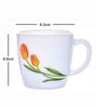 Opal Glass 12pcs Tea/Coffee Mug Set