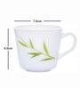 Opal Glass 12pcs Tea/Coffee Mug Set