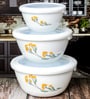 Opal Glass 3pcs Bowl Set with Lid