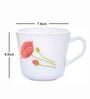 Opal Glass 6pcs Tea/Coffee Mug Set