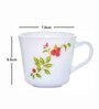 Opal Glass 6pcs Tea/Coffee Mug Set