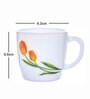 Opal Glass 6pcs Tea/Coffee Mug Set