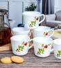 Opal Glass 6pcs Tea/Coffee Mug Set