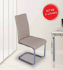 Opera Dining Chair in Beige Colour Set of 4
