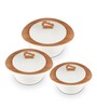 Oppal Light Brown Plastic & Steel Thermoware Casserole (Set of 3)