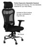 Optima Breathable Mesh Ergonomic Chair in Black Colour