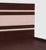 Optimas King Size Bed in Dark Choco Finish with Box Storage