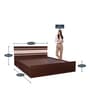 Optimas King Size Bed in Dark Choco Finish with Box Storage