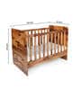 Optimus 3-in-1 Sheesham Wood Crib-cum-Bed-cum-Sofa In Natural Finish