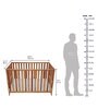 Optimus 3-in-1 Sheesham Wood Crib-cum-Bed-cum-Sofa In Natural Sheesham Finish