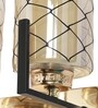 Opulent Brown & Gold Mild Steel Wall Light