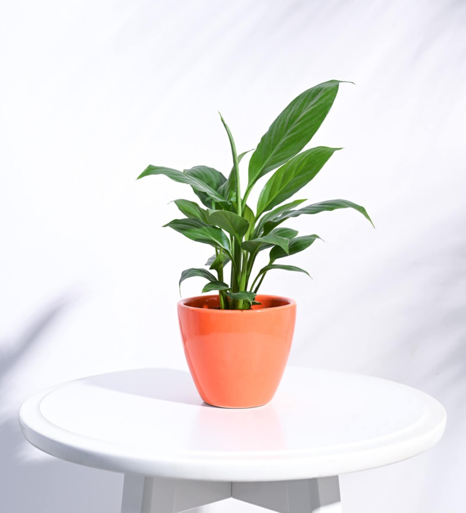 Orange Ceramic Apple Shape Desk Pot Planter