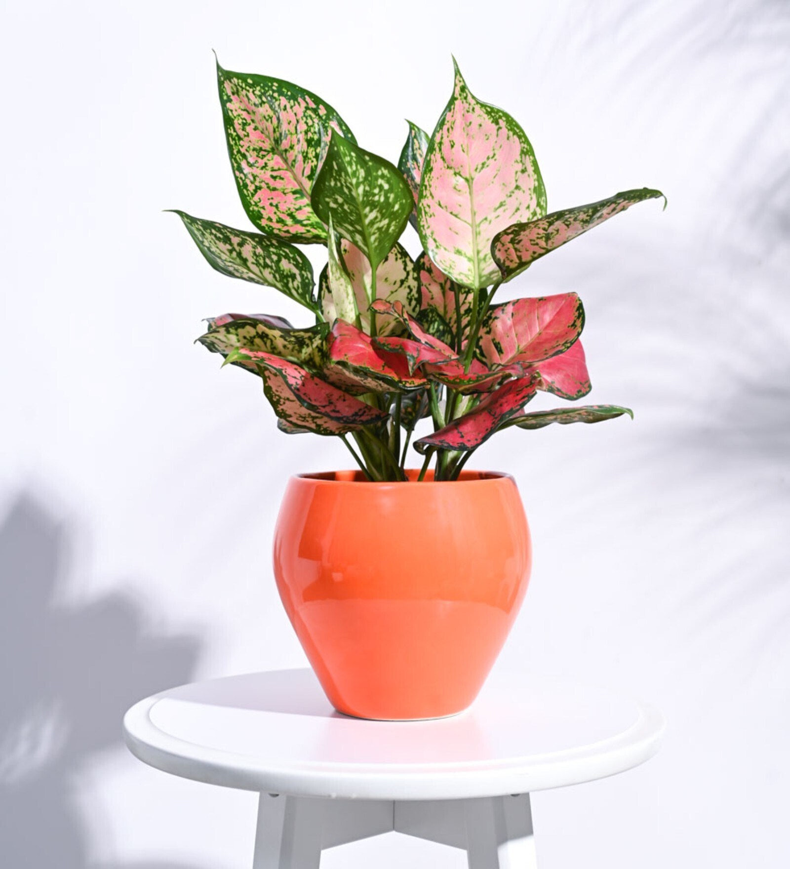 Orange Ceramic Apple Shape Desk Pot Desk Pot