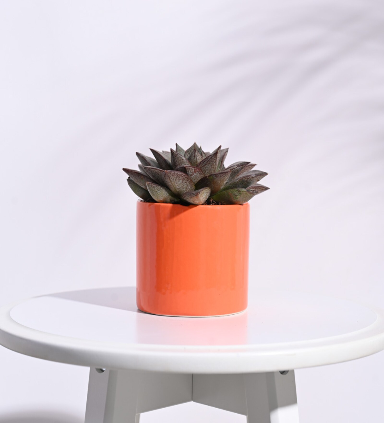 Orange Ceramic Pipe Shape Desk Pot Planter