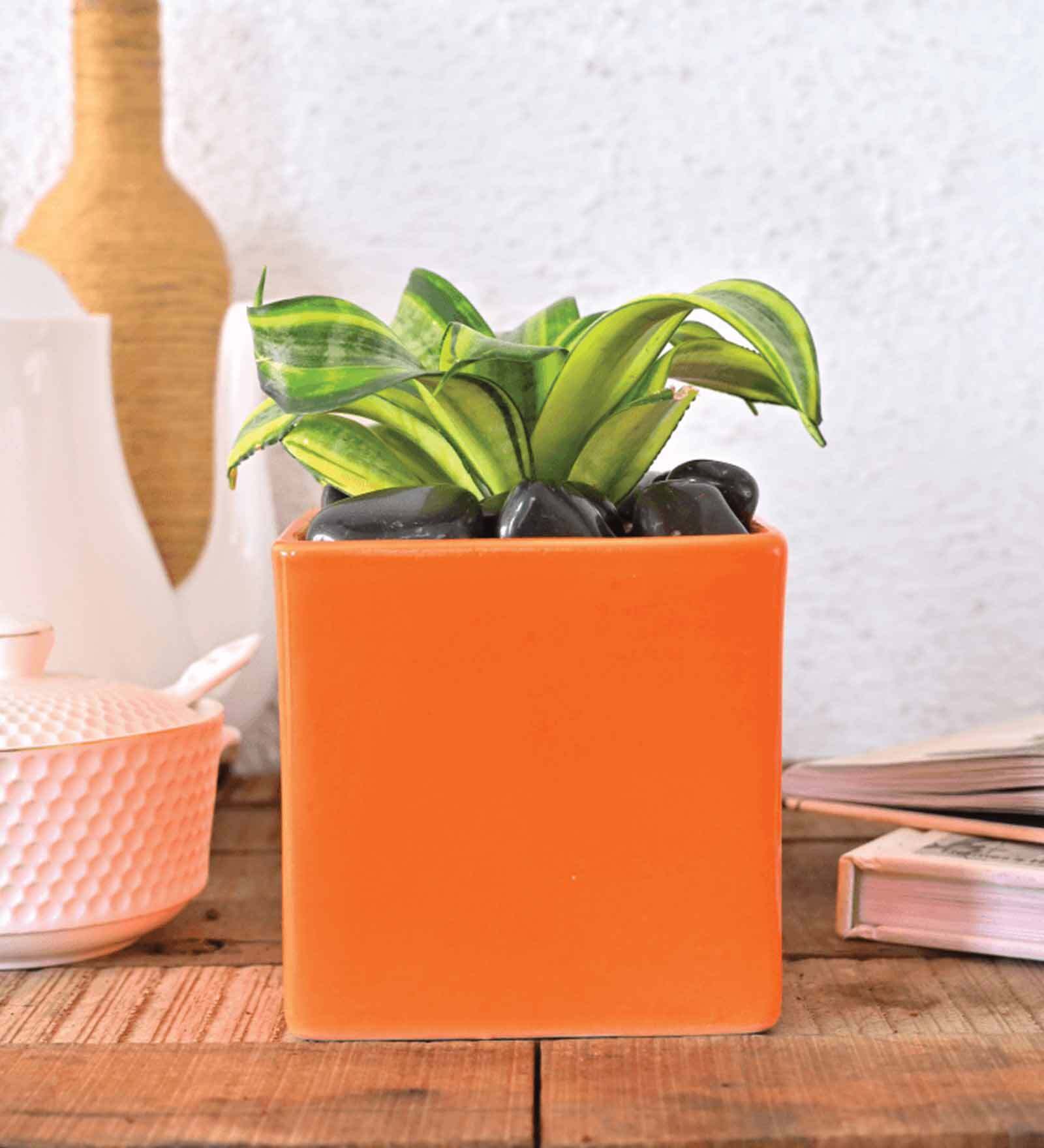 Orange Ceramic Square Shape Desk Pot Planter