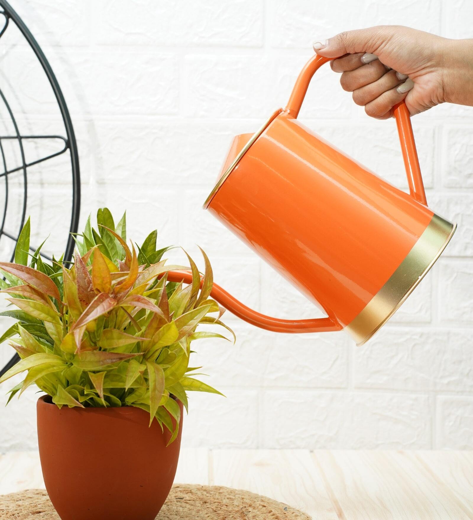 Orange Metal 1.5 L Watering Can