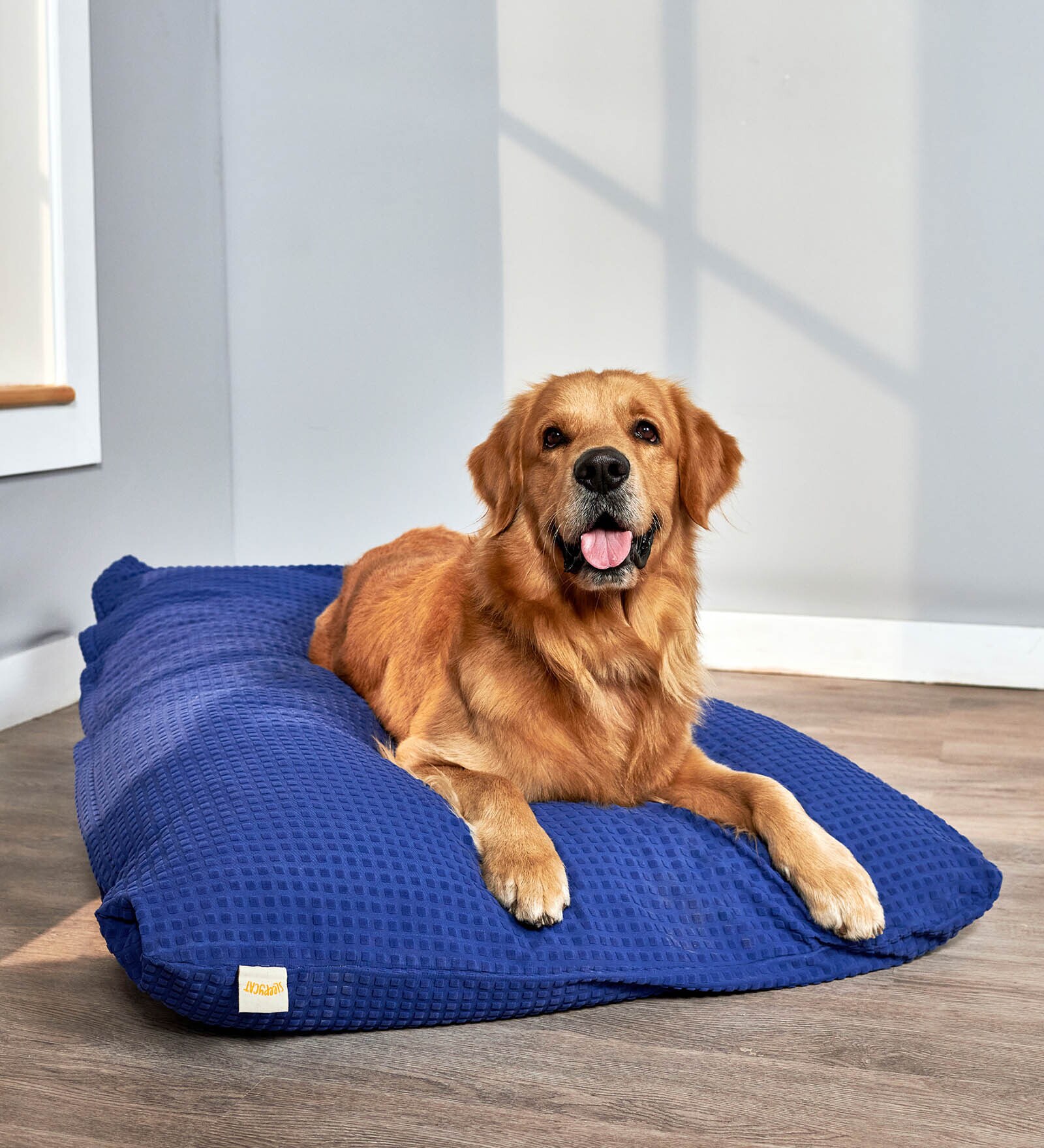Original- Medium Blue Fabric Pet Mat
