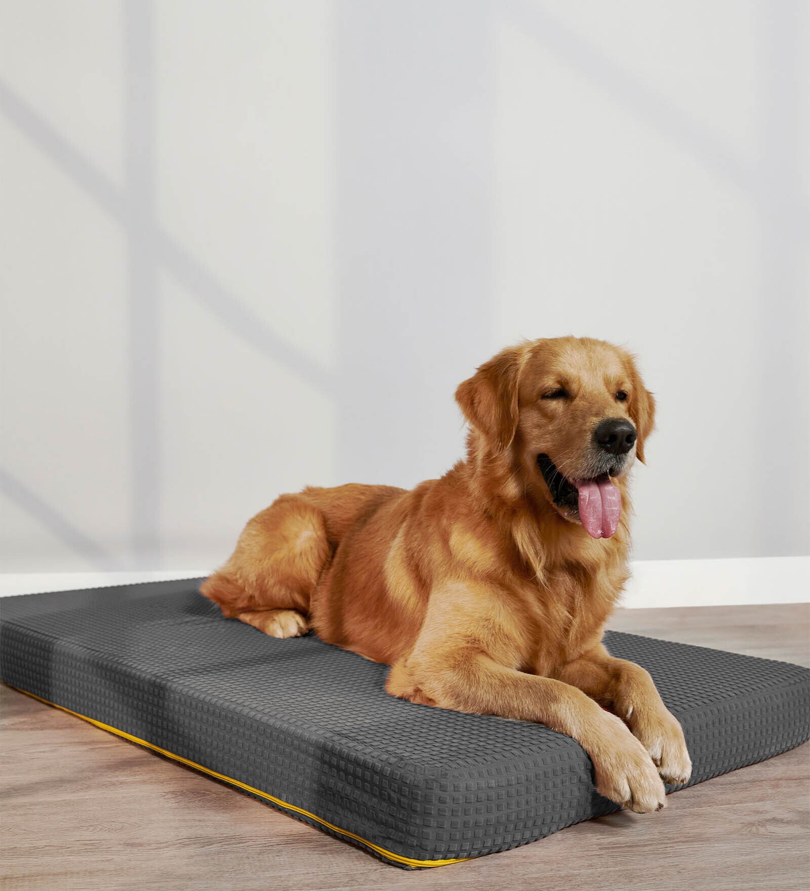 Orthopedic Extra Large Grey Fabric Pet Bed