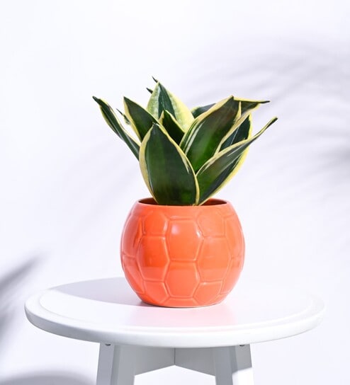 Orange Ceramic Football Shape Desk Pot Desk Pot