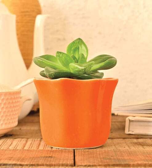 Orange Ceramic Star Shape Desk Pot Planter by Ugaoo