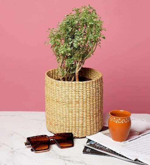 (1Pc) Beige Kouna Grass Handwoven Multipurpose Planter & Storage Basket