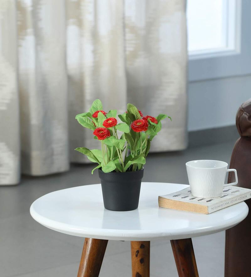 Buy Orange Plastic Artificial Daisy Flower Plant by Fourwalls Online