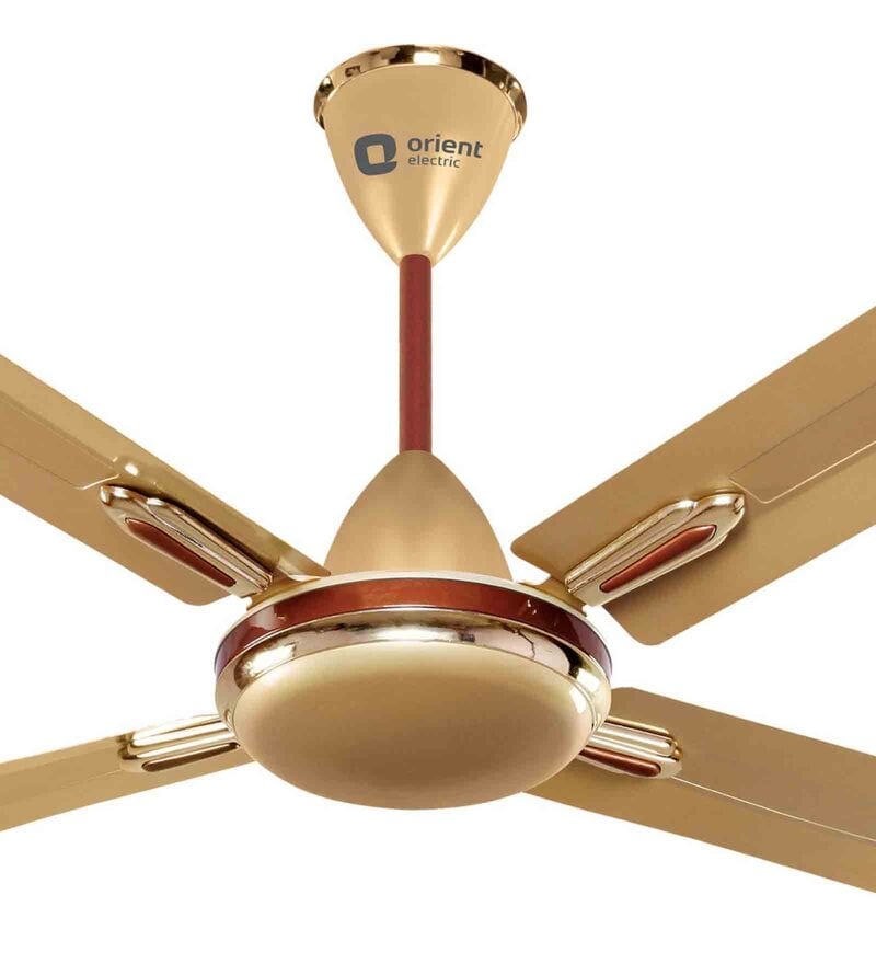 Buy Orient Electric Quadro Ornamental 1200mm Ceiling Fan (Golden