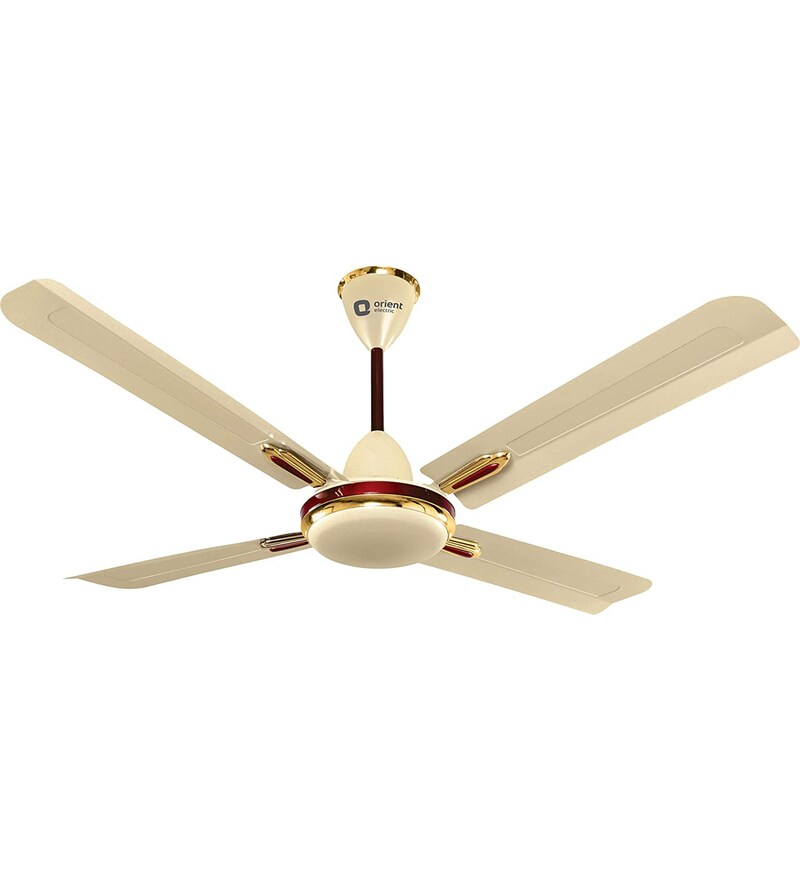 Buy Orient Electric Quadro Ornamental 