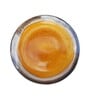 Orange Ceramic Dinner Plate