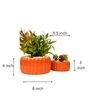 Orange Ceramic (Set of 2) Desk Pots