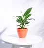Orange Ceramic Apple Shape Desk Pot Planter